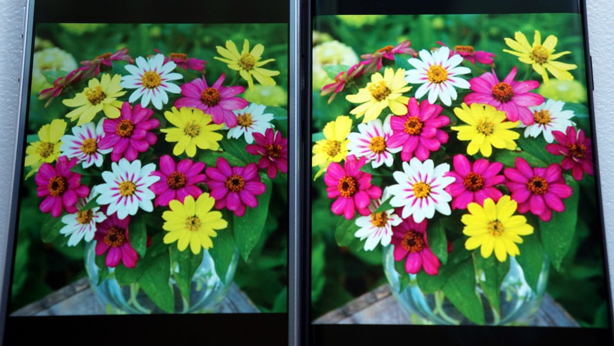 OLED против LCD: объясняем разницу, преимущества и недостатки