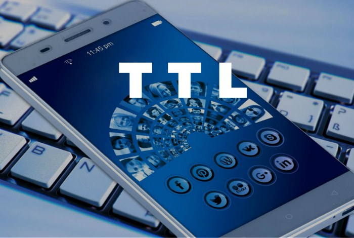 TTL в телефоне