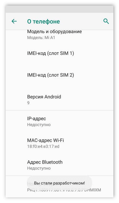 Разблакировка режима разработчика на Андроид 9