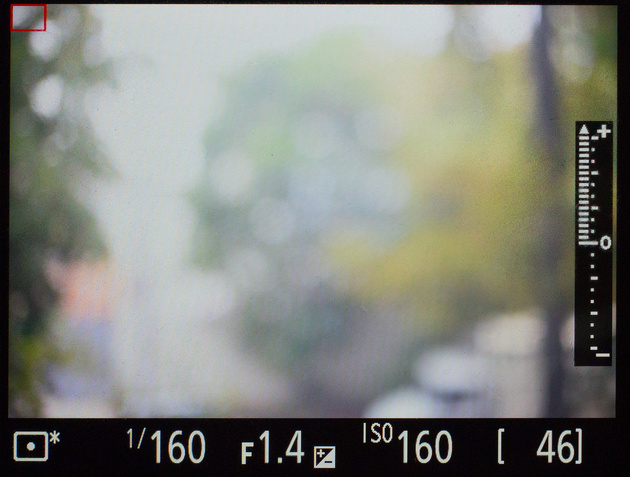 Экран Live View камеры Nikon D810. Точку контрастного автофокуса (красный квадратик в левом верхнем углу) можно перемещать по всему полю кадра, в том числе «загоняя» её впритык к краям кадра. Такого не позволит сделать фазовый автофокус.