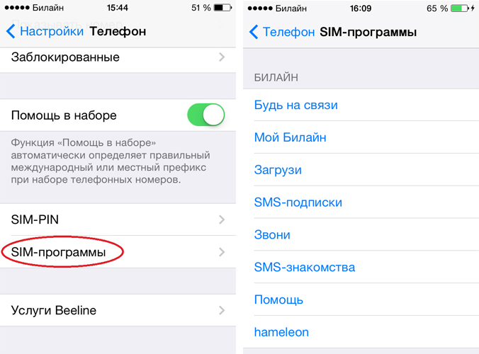 SIM-меню Билайн на iPhone
