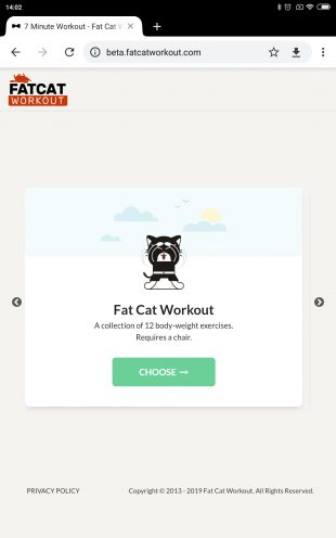 Fat Cat Workout