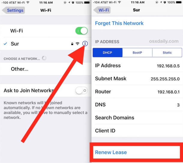 Renew a DHCP lease in iOS