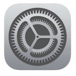 iOS Settings icon