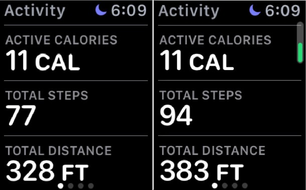 Step counter pedometer on Apple Watch