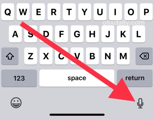 Microphone keyboard button on iOS