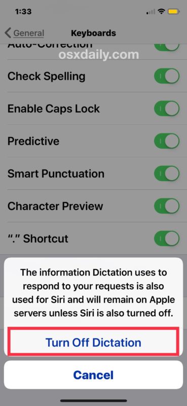 How to remove microphone from iOS keyboard