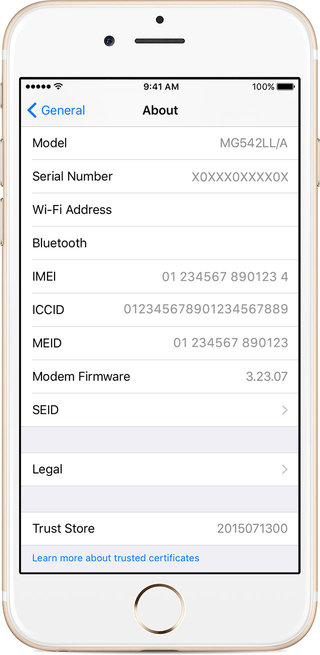 Part 2: How to check iPhone IMEI info