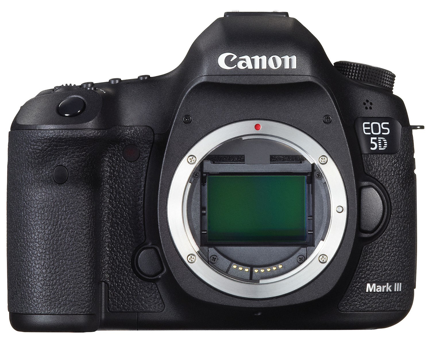 Best Camera for Portrait Photography: Canon EOS 5D Mark III