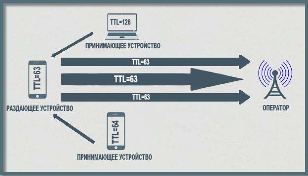 Принцип передачи пакетов данных с уменьшением значения TTL