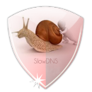 VPN Over DNS  Tunnel : SlowDNS app icon