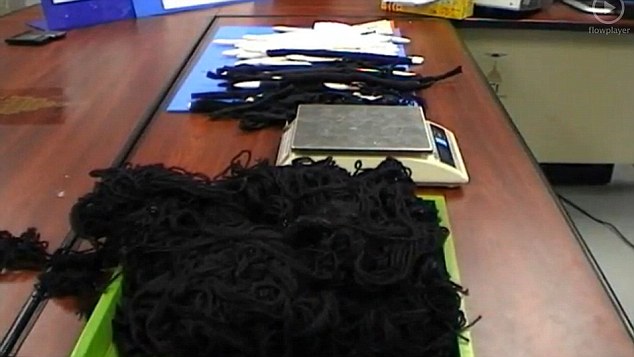 The evidence: Officials laid the cocaine matted dreadlocks on a table in Bangkok customs for testing