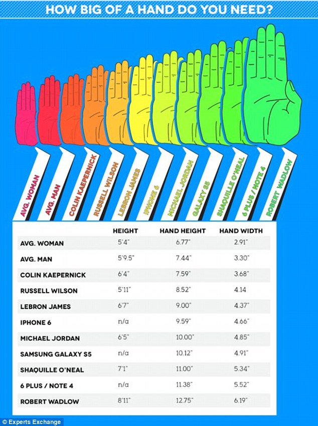 The graphic (pictured) was created by California-based technology professionals site Experts Exchange. It compares the average hand measurements of men and women, as well as the hand size of sports figures such as Lebron James. The hand size of Robert Wadlow, dubbed Giant of Illinois, was also included