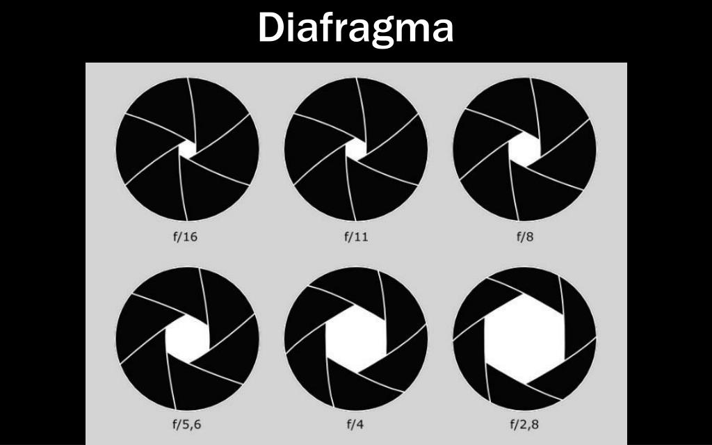 Диафрагма 1. Диафрагма объектива. Диафрагма фотокамеры. Диафрагма камеры. Открытая и закрытая диафрагма объектива.