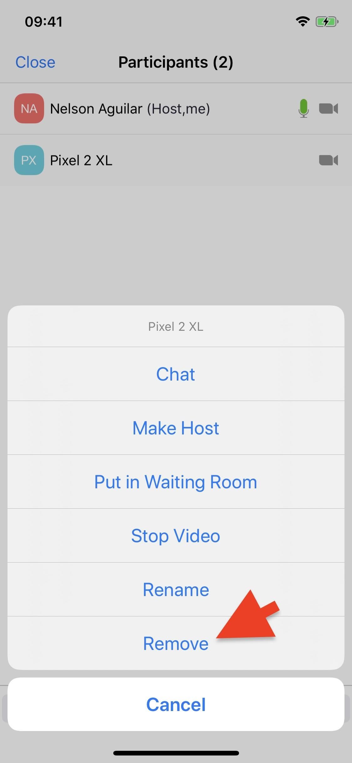 8 Different Ways to Mute Someone on Zoom That