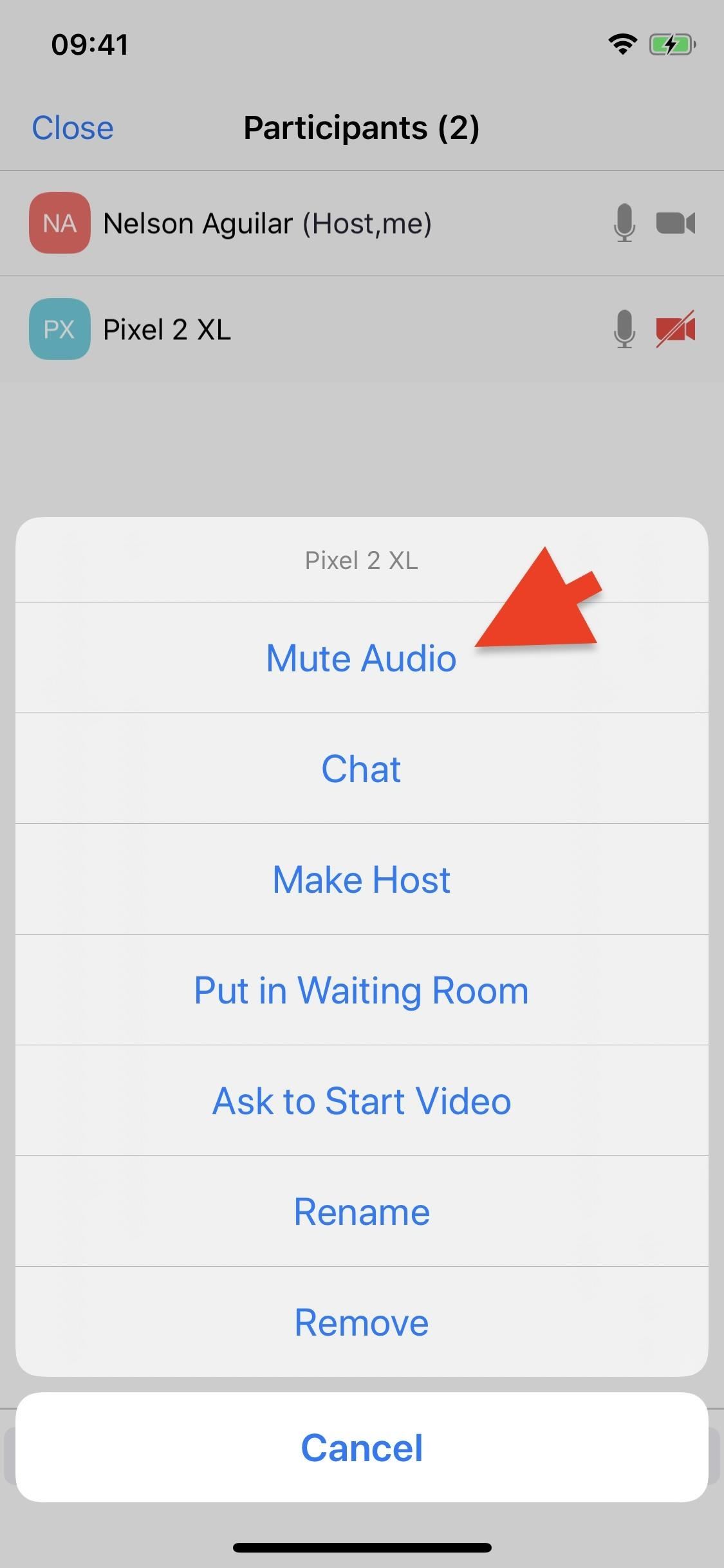 8 Different Ways to Mute Someone on Zoom That