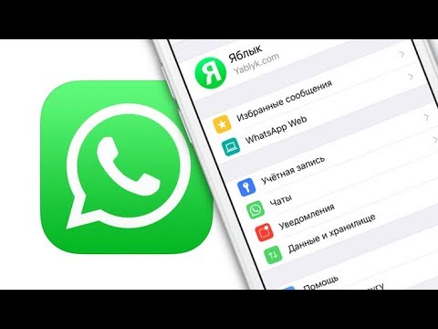 10 полезных фишек WhatsApp, которые вы могли не знать 