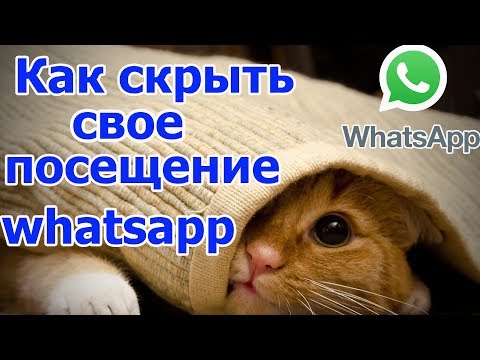 Как скрыть время посещения в whatsapp, как отключить в ватсапе время посещения (невидимка)