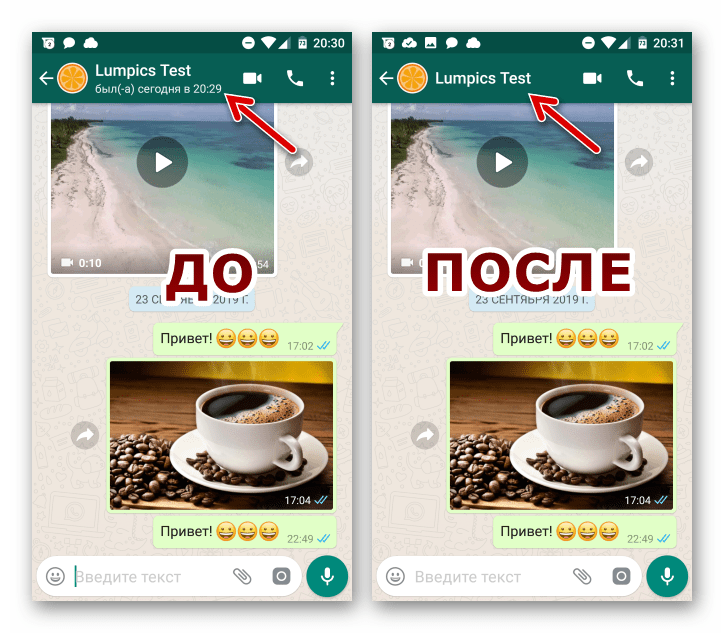 WhatsApp для iOS результат отключения трансляции даты и времени посещения мессенджера