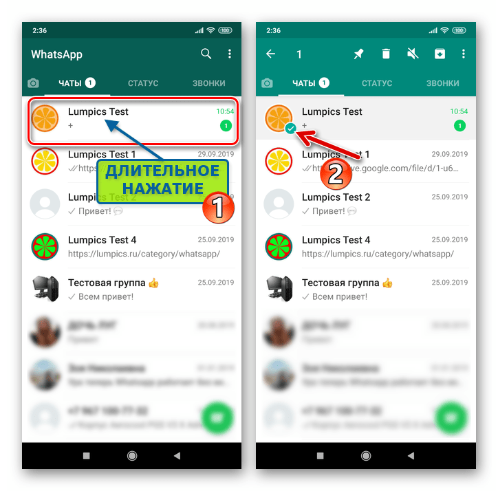 WhatsApp для Android выделение заголовка диалога или группы на вкладке Чаты мессенджера