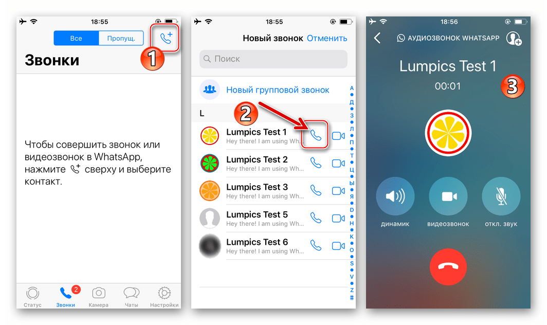 WhatsApp для iPhone аудиозвонок контакту с экрана Звонки мессенджера
