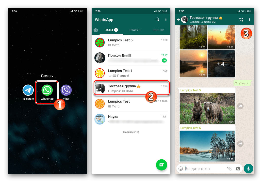 WhatsApp для Android - запус мессенджера, переход в чат для отключения видимости медиа в Галерее ОС