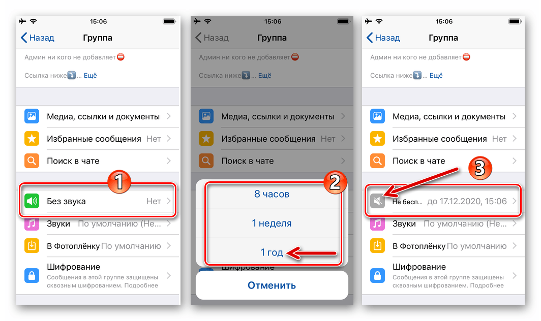 WhatsApp для iPhone - включение режима Не беспокоить для группового чата (отключение всех уведомлений)