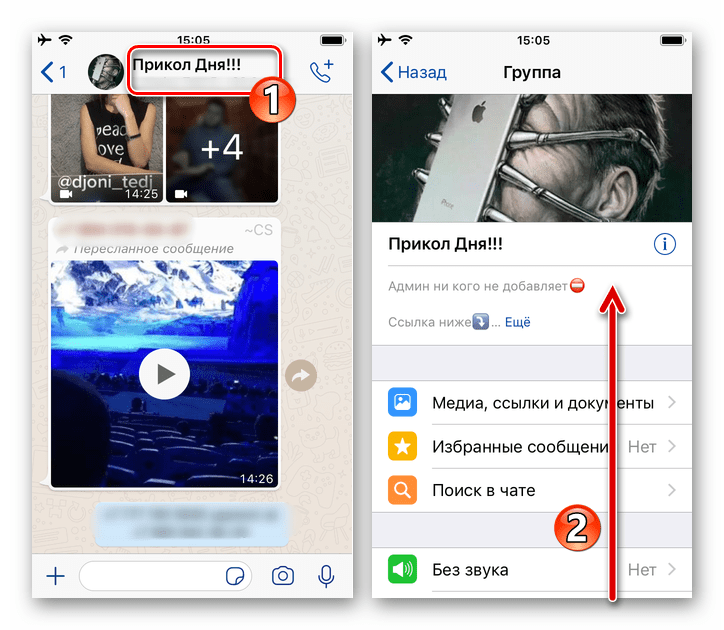 WhatsApp для iPhone - вызов экрана Информация и настройки в групповом чате