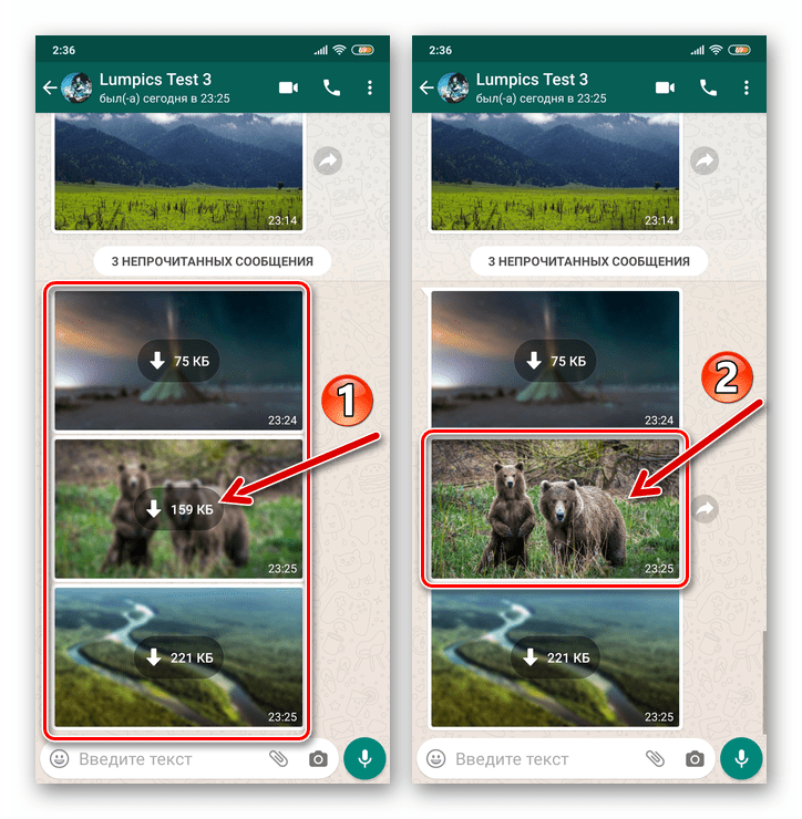 WhatsApp для Android просмотр фото и его одновременное сохранение в хранилище смартфона