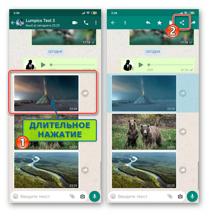 WhatsApp для Android выбрать Поделиться для выделенного в переписке сообщения-картинки