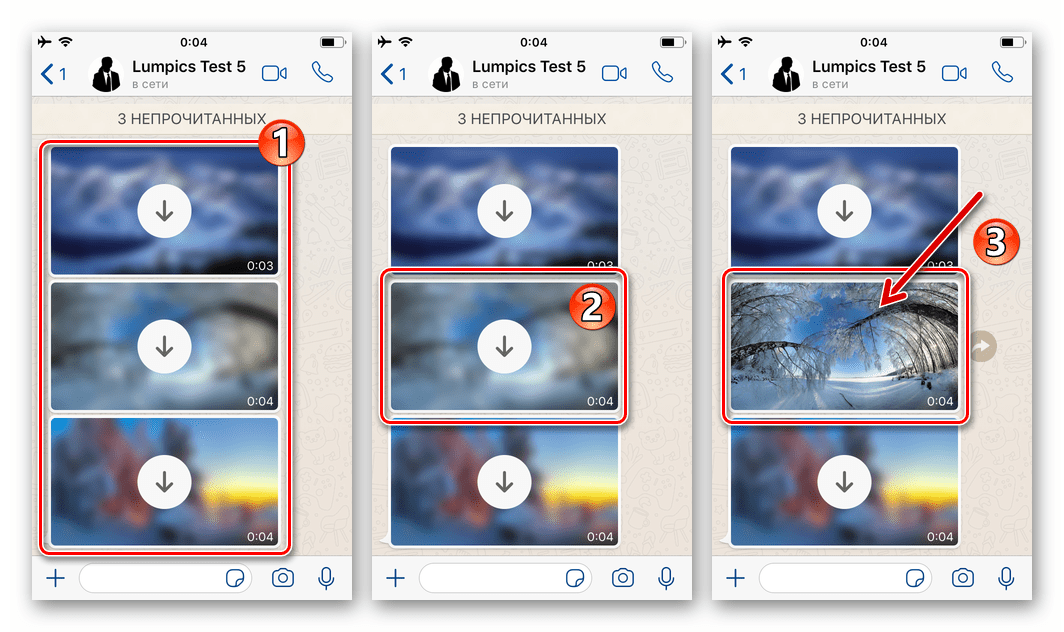 WhatsApp для iOS просмотр и одновременное скачивание в память iPhone фото из чата