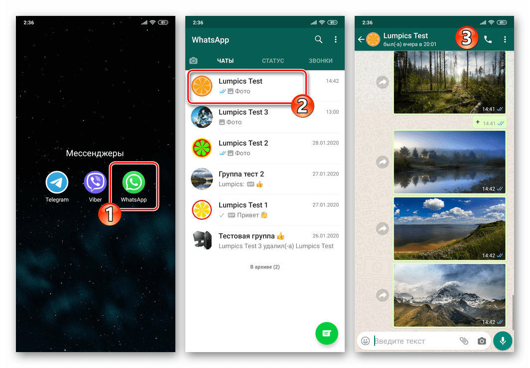 WhatsApp для Android открытие мессенджера и переход в чат для отправки геоданных