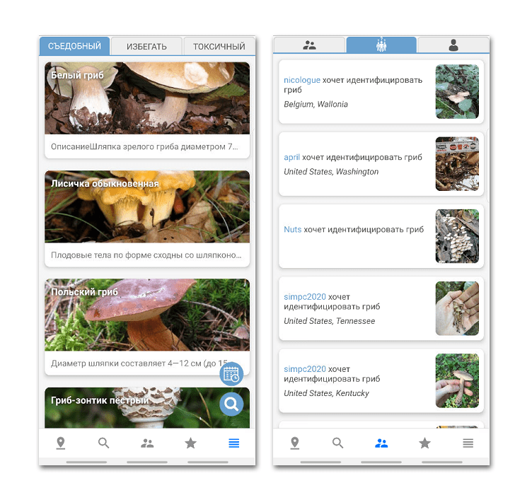 Приложение Mushroom Identify на Android