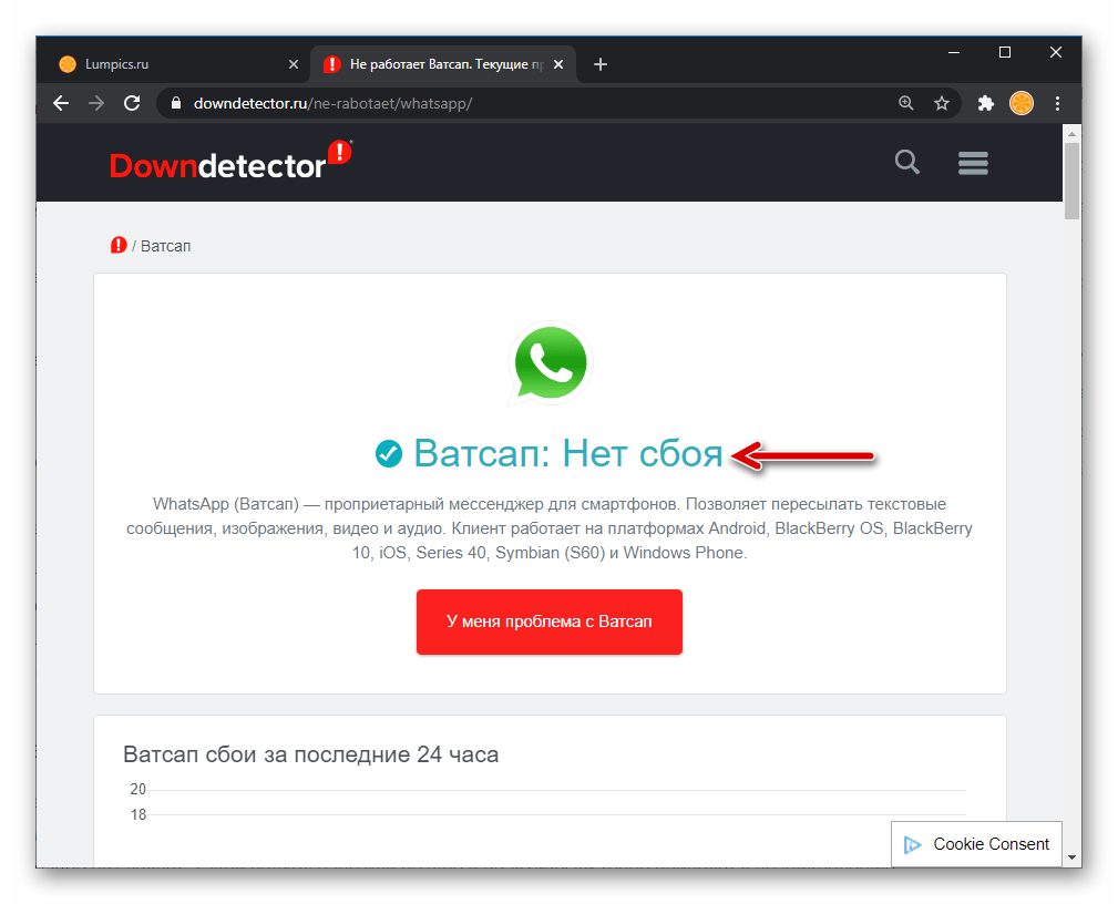 WhatsApp сайт downdetector.ru констатирует отсутствие проблем с мессенджером