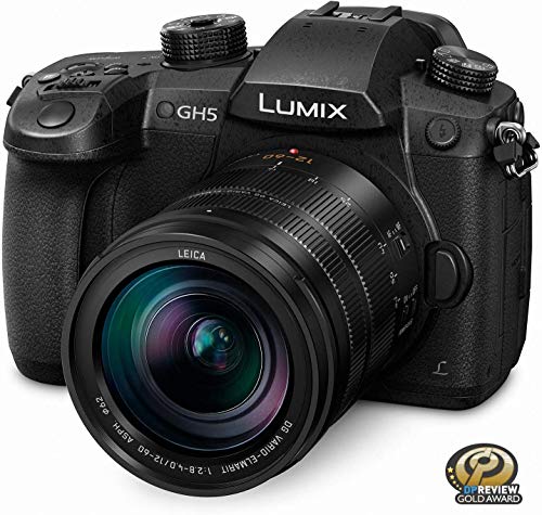Panasonic LUMIX GH5 4K Mirrorless Camera with Lecia Vario-Elmarit 12-60mm F2.8-4.0 Lens (DC-GH5LK)