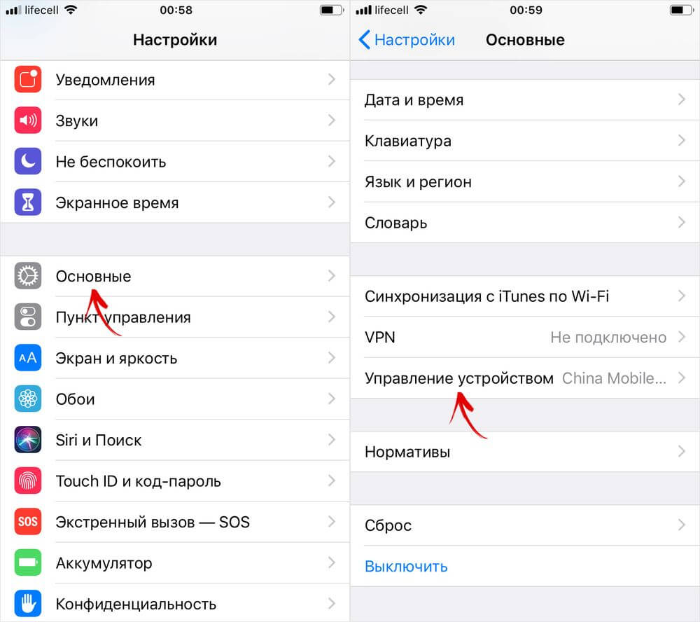 Режим разработчика ios 14