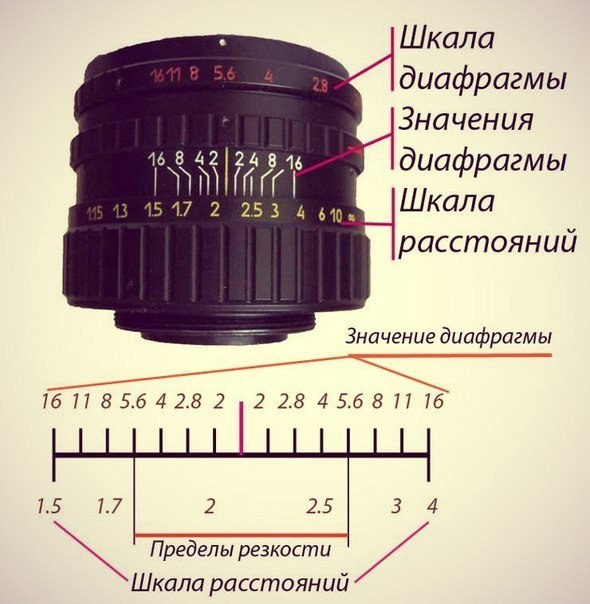 Каким получается изображение предмета на пленке или дисплее фотоаппарата