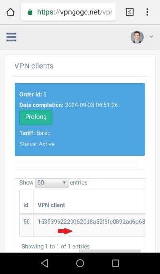 Set up VPN on Android. Step 6