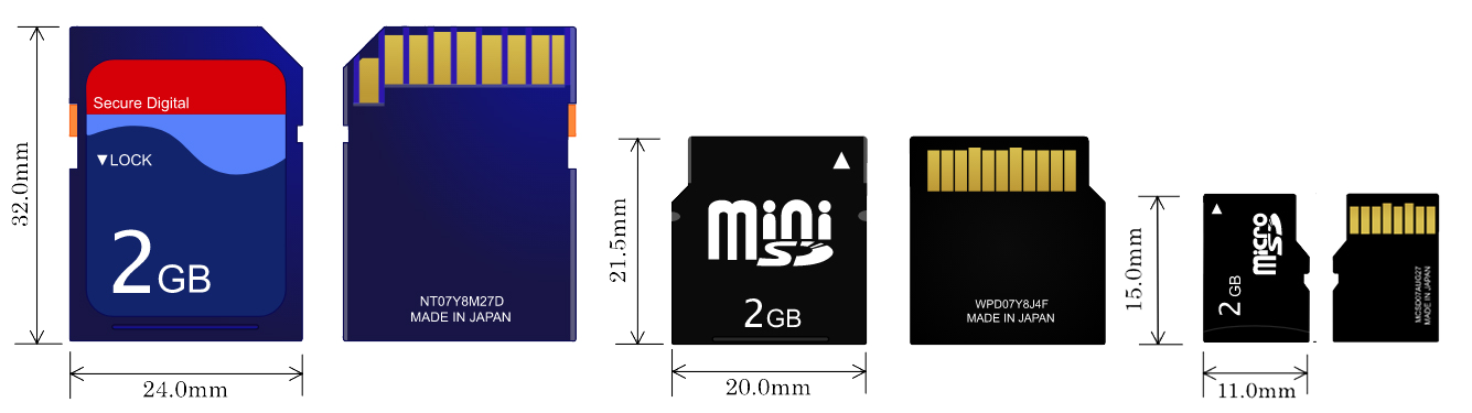 SDHC SDXC MicroSD Card Sizes Comparison Image