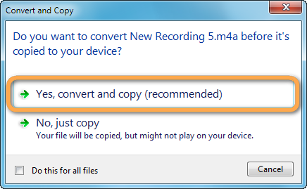 do you want to convert file before it
