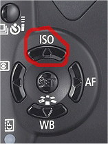 ISO button on camera