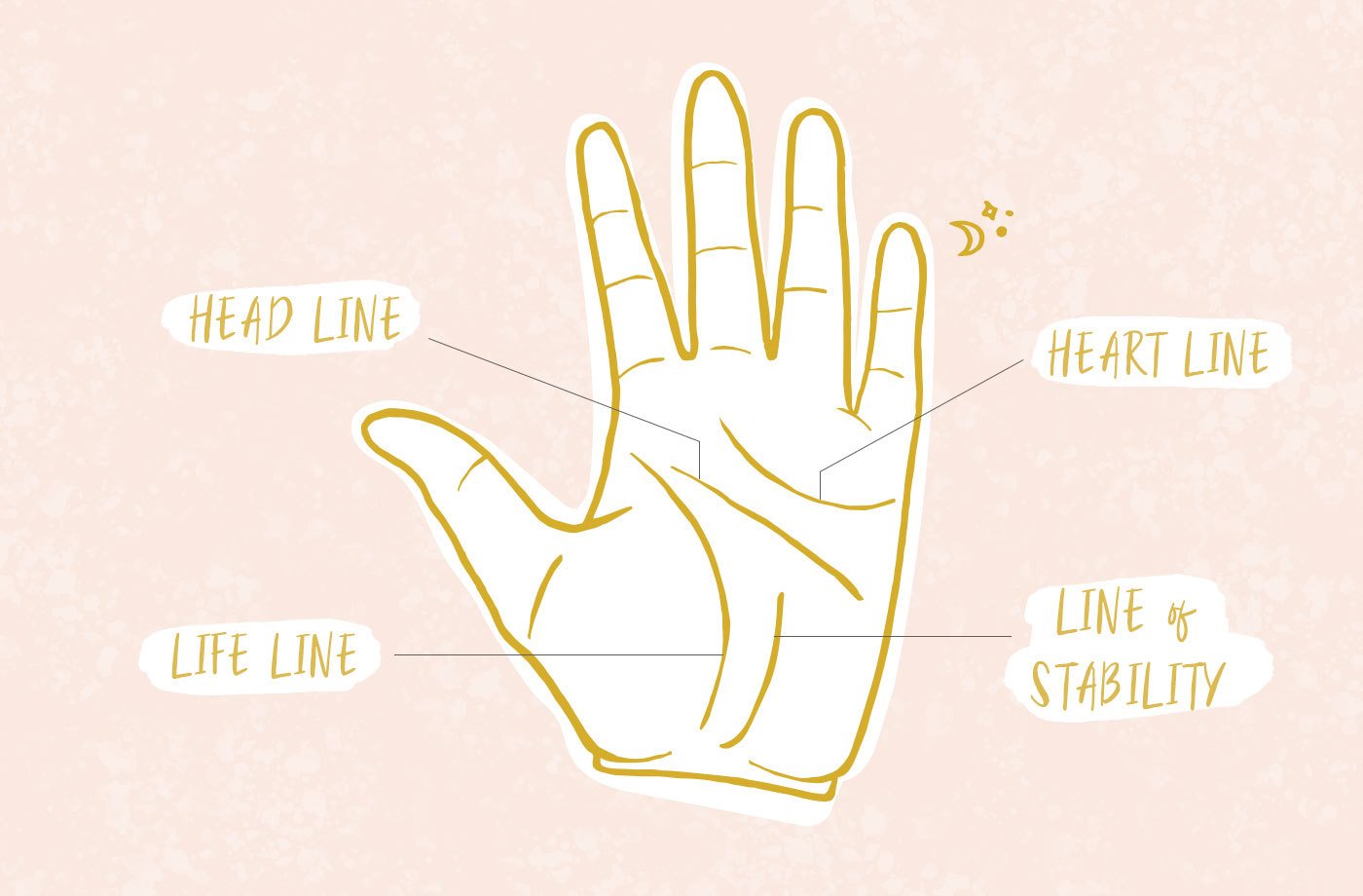 How to read your palm and understand what the lines mean